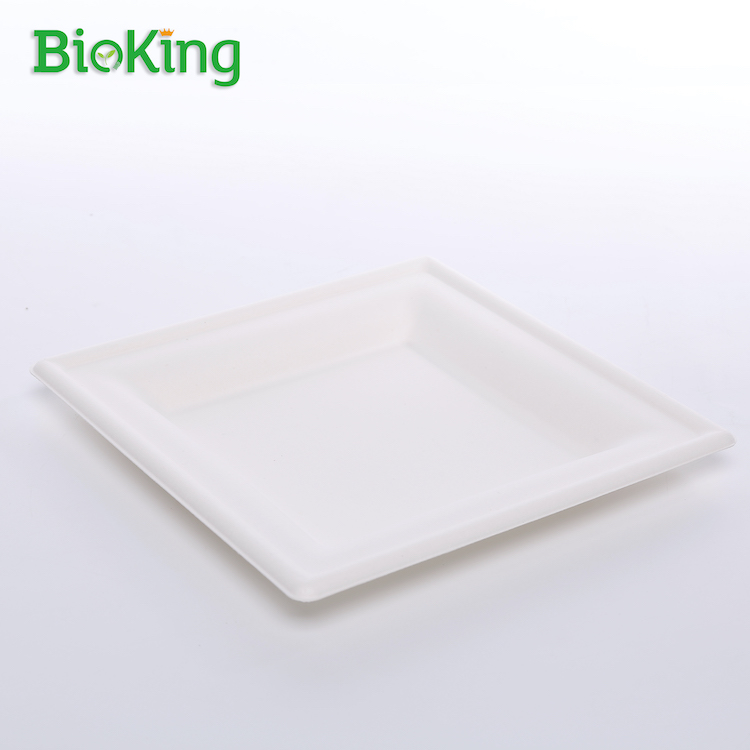 8'' Square Plate