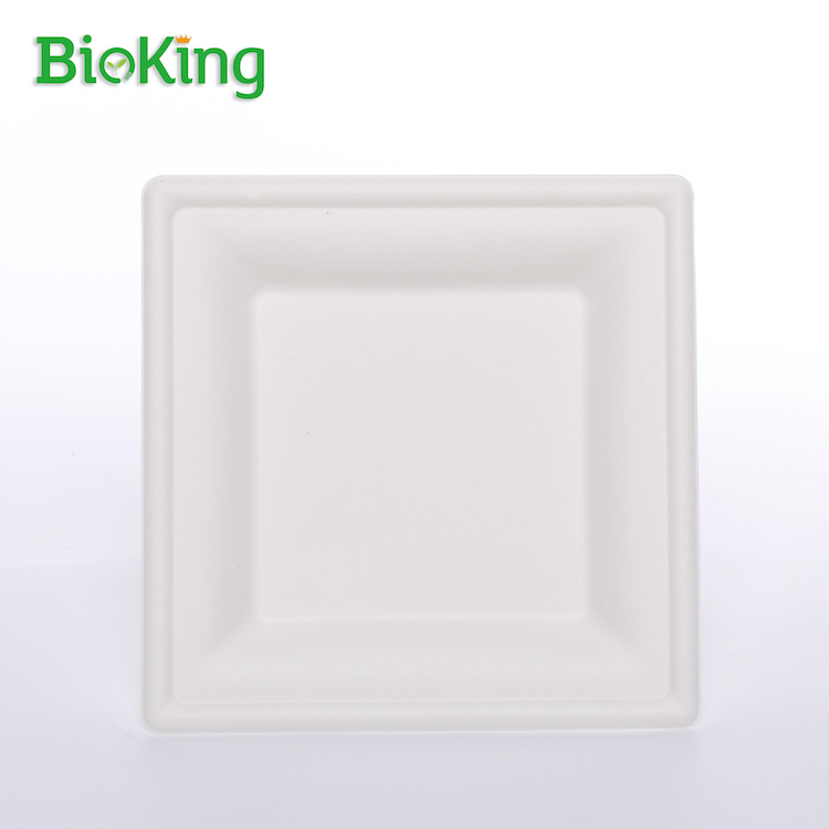 8'' Square Plate