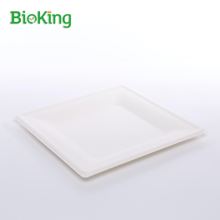 10'' Square Plate