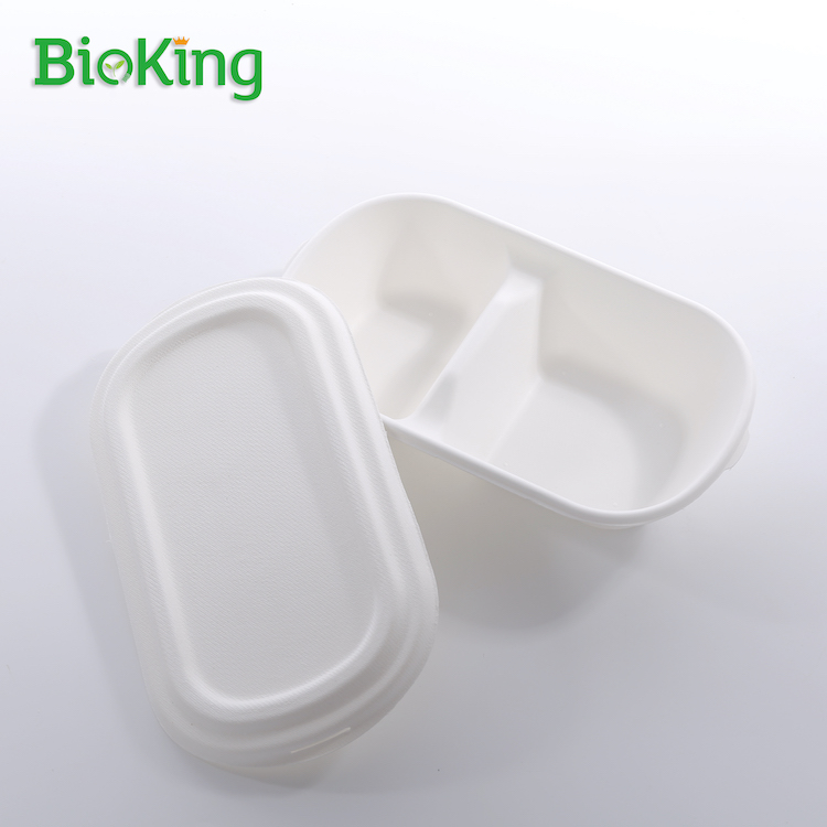 Salad Box 2- Compartment