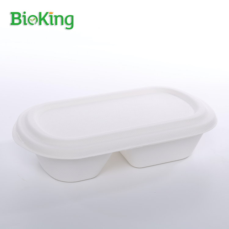 Salad Box 2- Compartment