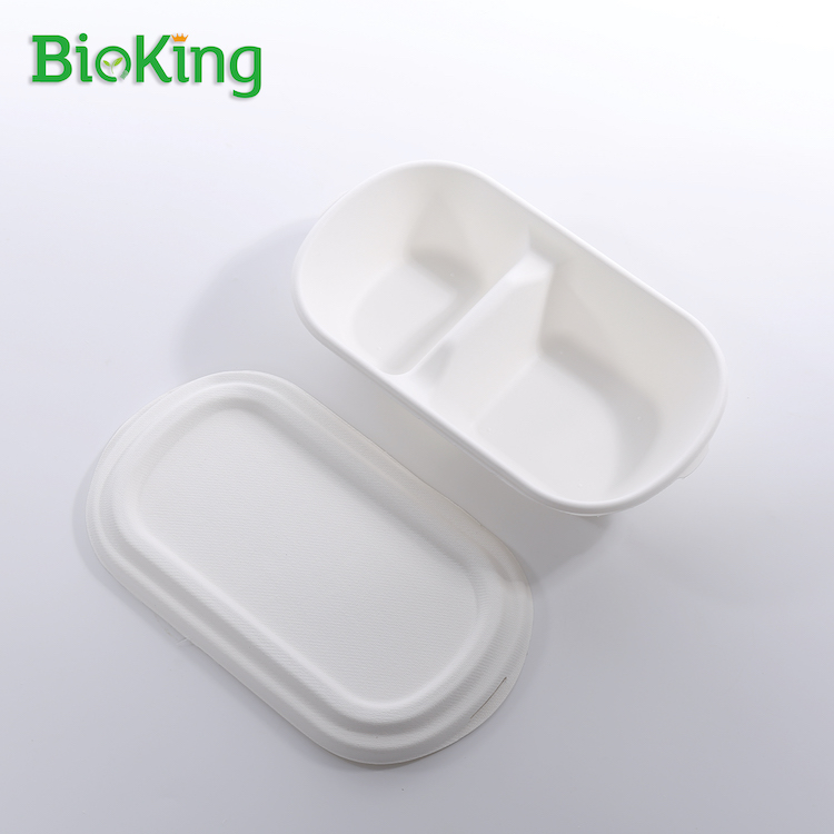 Salad Box 2- Compartment
