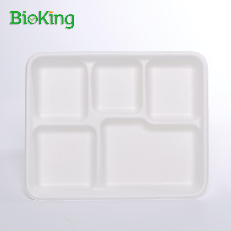 5-Compartment Rectangle Tray