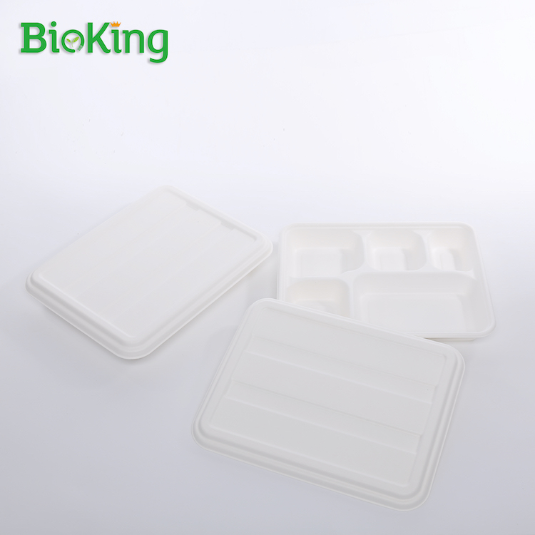 5-Comparment Food Container